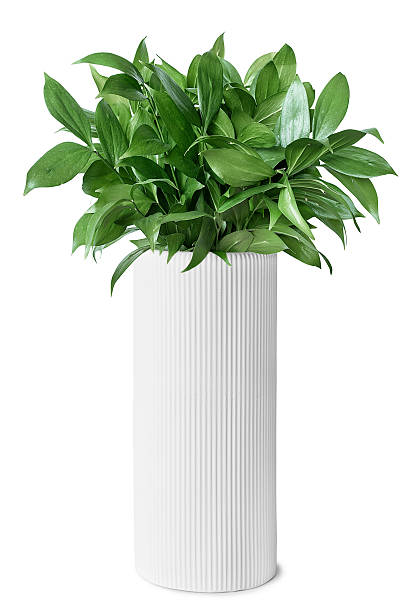 istock Green bouquet in vase 2245952933
