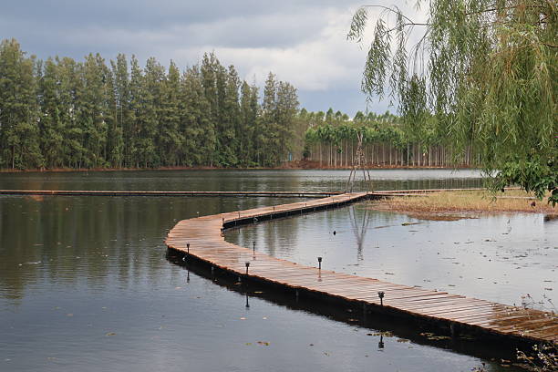 istock Tranquil lakeside scene, peaceful water reflecting trees, serene nature setting perfect for relaxation and outdoor adventures. 2245954977