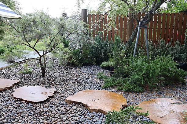 istock Serene garden pathway, natural stone stepping stones surrounded by lush greenery and vibrant plants, inviting outdoor tranquility. 2245955082