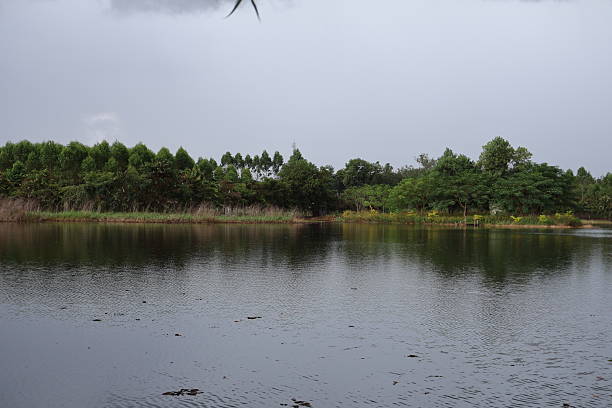 Serene landscape with calm river, lush greenery reflecting on water, ideal for nature-themed projects or relaxation space.