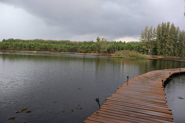 Serene lakeside view, tranquil water reflecting clouds, lush greenery surrounding, ideal for relaxation and nature themes.
