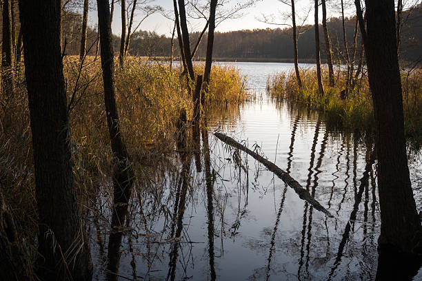 istock Autumn landscape, walking along the river bank. 2245955933