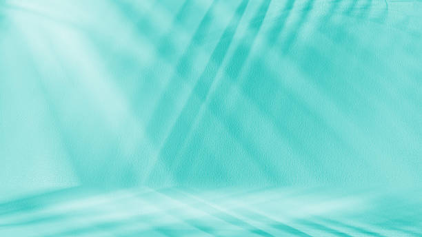 istock Clean and minimalist studio space featuring uniform soft pastel blue wall and floor. Room brightly casting subtle diagonal shadow palm or tropical leaf across right side wall and foreground 2245959770