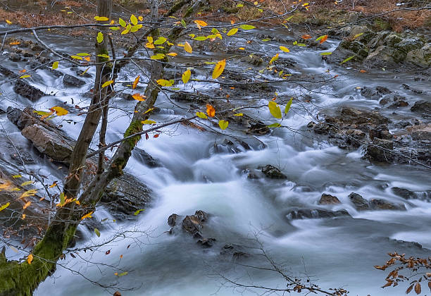 istock Mountain river in the autumn forest 2245960094