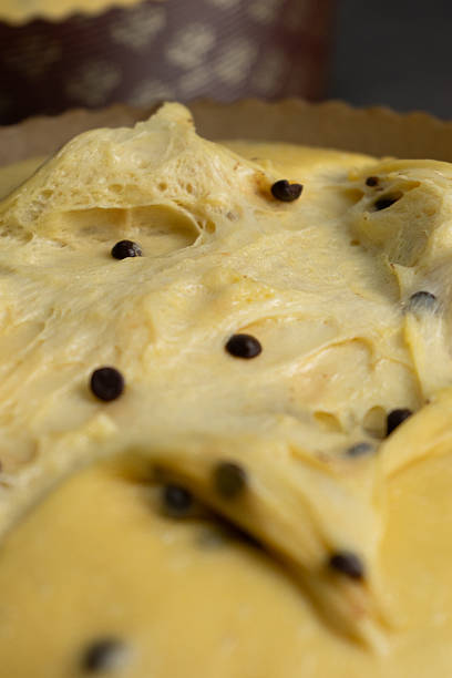 Preparing panettone with dough and topping