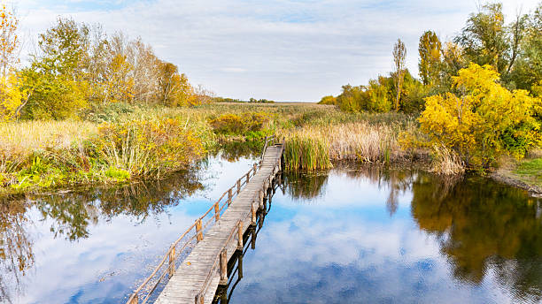 Scenic view of an old handmade wooden bridge crossing a small river in a peaceful nature park. Perfect for travel, nature, and environmental background concepts.