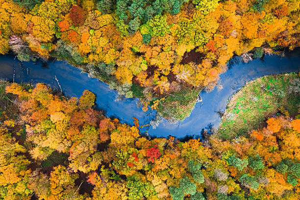 istock Top down view of river and colorful forest in Poland 2245968355