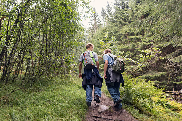 istock Hikers moving up steep, moss-covered, forested slope, framed by fallen logs and green trees. 2245969681