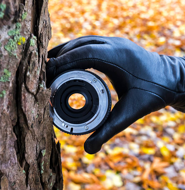 Autumn colorful blurred fallen leaves seen through small lens, close-up with old bark oak tree trunk, image depicts late autumnal nature, selective focus on lens, bark and hand with glove