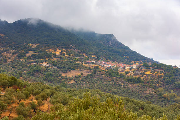 istock Hilly Landscape with Olive Groves and Cloudy Sky 2245972816