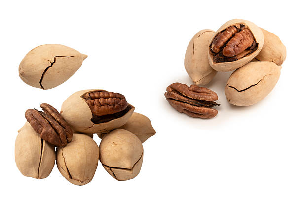 istock Pecan-nut in a shell isolated on white background. Top view. 2245974580