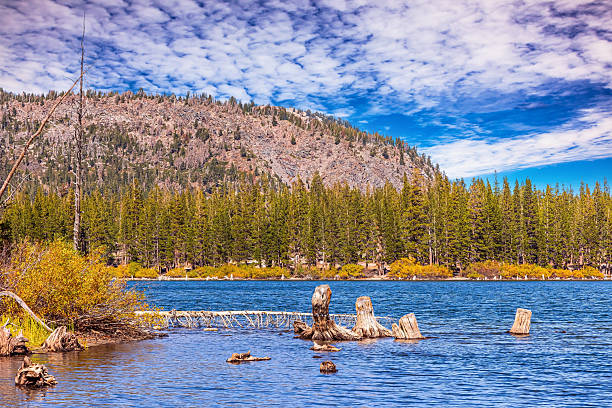 Wonderful Mary Lake. The lake's shallows warm in the autumn sun. The lake is perfect for anglers. The lakeshore is lined with pine trees. California, USA. Warm day