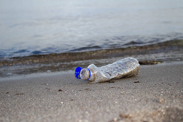 istock Close-up of a plastic bottle washed up on the beach, plastic pollution 2245977779