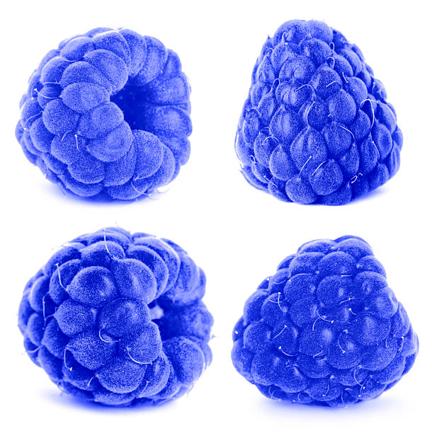 istock Fresh blue raspberries isolated on white, set 2245979395