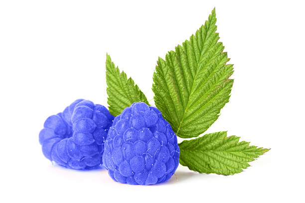 istock Fresh blue raspberries and green leaves isolated on white 2245979432