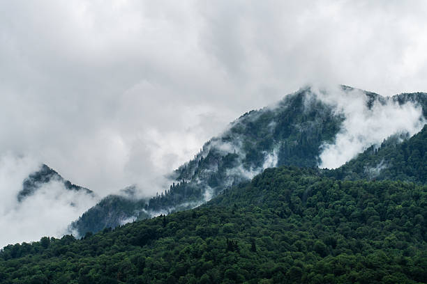 A lush green forest climbs a misty mountain ridge as clouds drift through the peaks, creating a tranquil, moody atmosphere perfect for nature, travel, and outdoor themes.