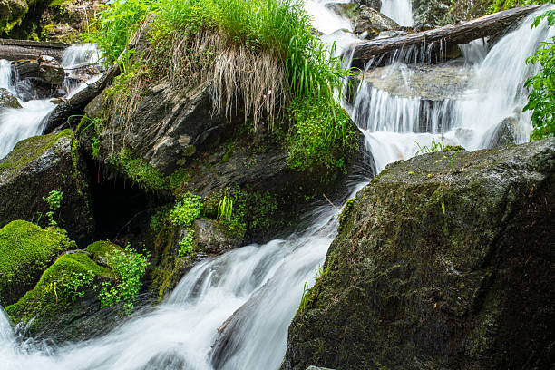 A lush forest scene featuring a cascading waterfall tumbling over moss-covered rocks. The silky water conveys motion and refreshment, creating a serene, natural atmosphere perfect for nature and travel themes.