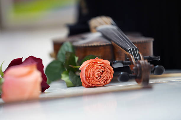 Romantic violin with rose petals