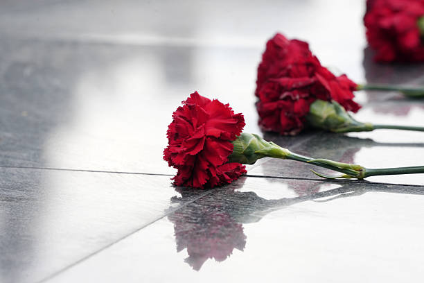 Red flower on tombstone at cemetery