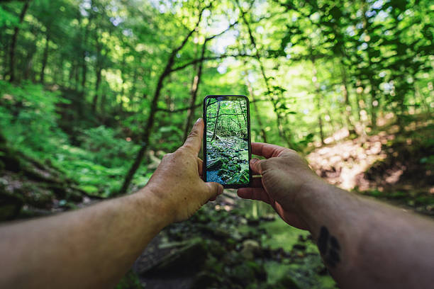 istock Person Uses Smartphone to Capture Lush Forest Scene With Stream and Sunlight 2245982115