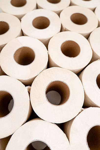 istock Group of unbleached bamboo toilet rolls. 2245982364
