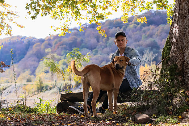Man and dog share moment in colorful fall woods. Seated man gently holds brown dog's head, both facing camera on log amid yellow foliage, autumn tree and distant hills visible.
