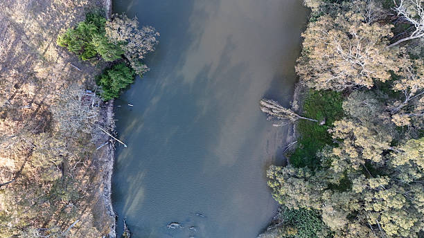 istock Overhead view looking down on the Murray River at Collendina 2245983929