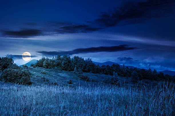 Full moon rises behind a single sycamore tree on Burrow Hill in Somerset. Telephoto image from a distance to give this perspective. with copy space and no image manipulation