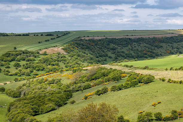 istock A view towards Ditchling Beacon in the South Downs, on a sunny spring day 2245986600