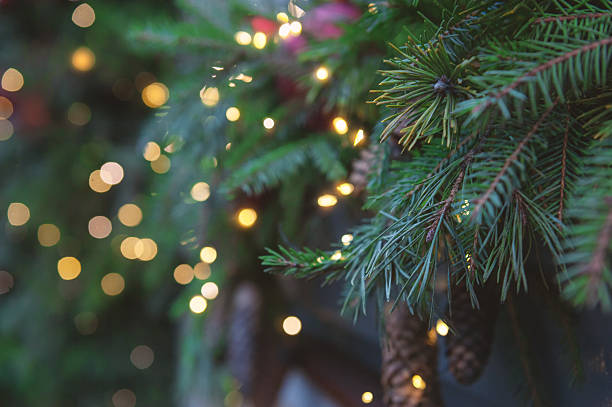 istock Festive pine tree decoration captured with a cozy, bokeh-filled Christmas background 2245988258