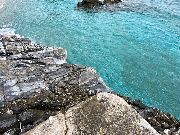 Plant-covered high rocky cliffs on shore of Corfu island in Greece with clear turquoise sea water under blue cloudless sky panorama view