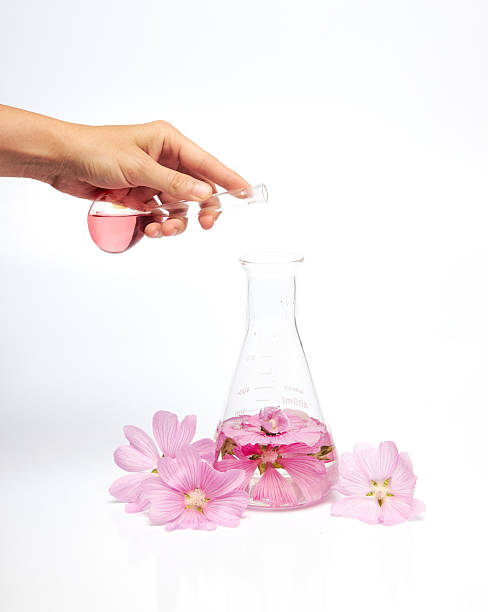 Essential oil in Glass Bottle, yellow Essential oil, bottles of Essential on background