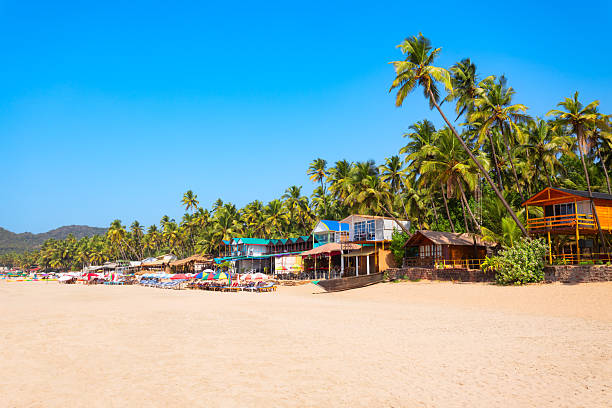 istock Boats at the Palolem Beach in Goa, India 2245997659