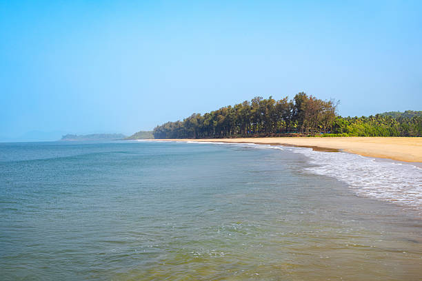 istock Galgibaga Beach at sunset, Goa state in India 2245997684