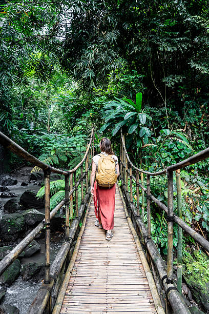 istock Woman explorer crossing a bridge in the jungle 2245998521