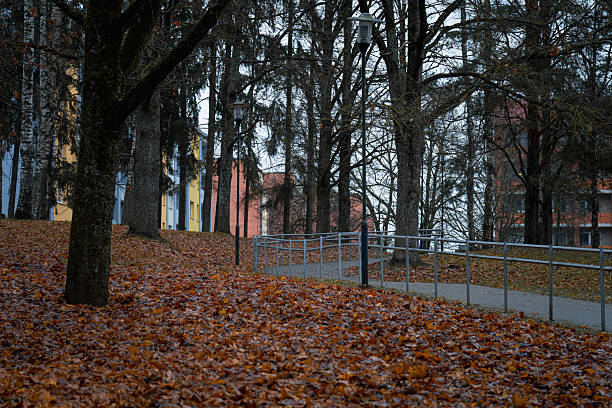 istock Autumn Park Path Covered with Fallen Leaves and Trees  Quiet City Scene with Walkway and Soft Morning Light 2246000974