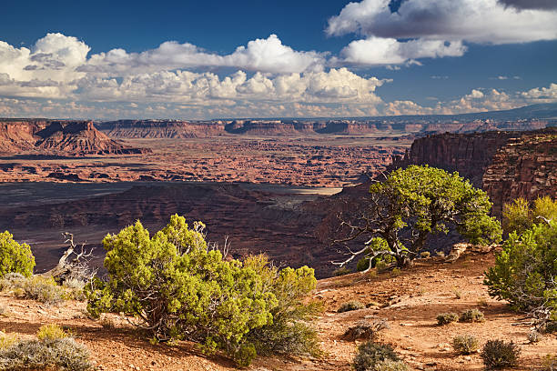 istock Canyonlands National Park, USA 2246002958