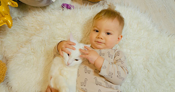 istock Little boy and cat share holiday joy by the Christmas tree while decorating 2246003860
