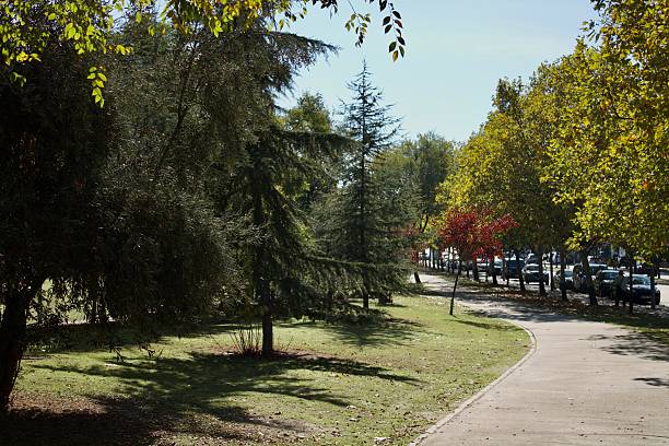 istock Autumn in a park 2246009780