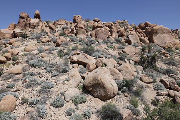 A beautiful view of big boulders and rock formations in Joshua Tree National Park, California
