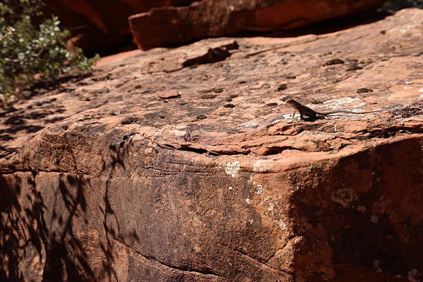 istock Rock textures at Zion National Park, Utah, Fall 2246012490