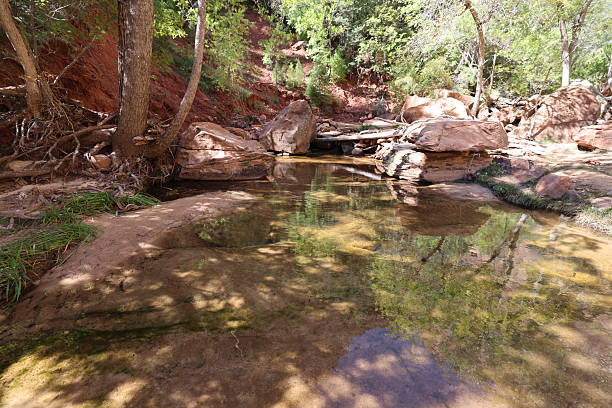 istock Upper Emerald Pool in Zion National park 2246012508