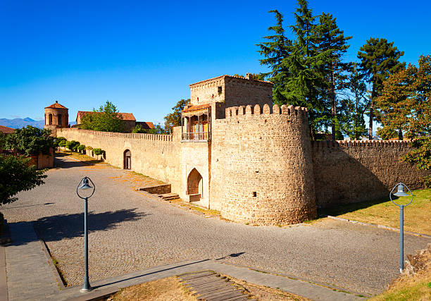 istock Telavi old town in Georgia 2246012941