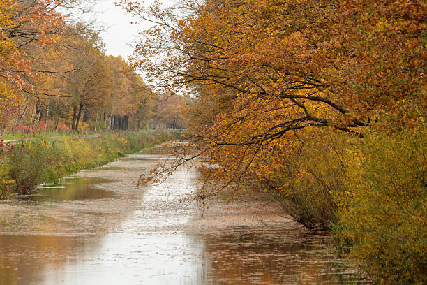 A peaceful autumn scene featuring a calm canal lined with overhanging branches from trees dressed in vibrant orange fall colors. Leaves float gently on the dark water, creating a beautiful contrast with the warm tones above