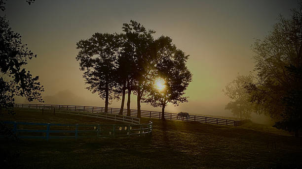 istock Foggy Morning on the Farm 2246014127