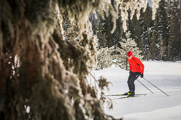istock Man skate skis on ski track, Whistler 2246017431