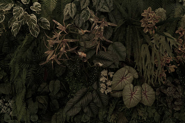 istock Green tropical natural leaves background image 2246019265