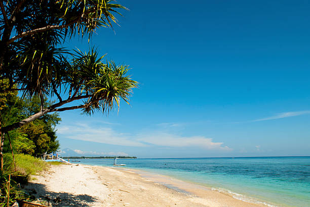 istock Gili Air, Indonesia 2246025256