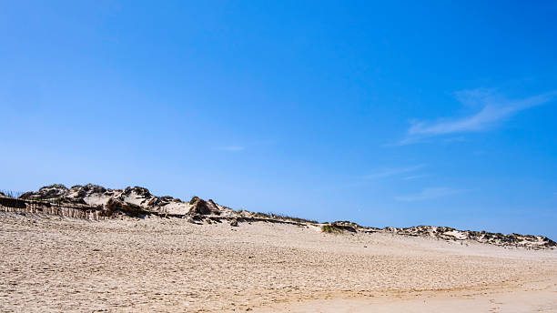 Sand dunes on the Praia da Baia, one of the many beautiful beaches of Peniche which attract thousands of tourists every year