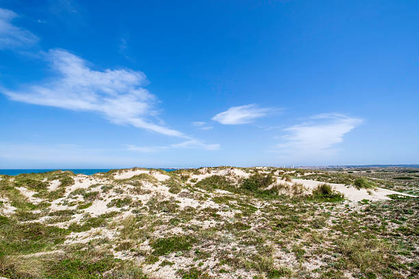 Sand dunes on the Praia da Baia, one of the many beautiful beaches of Peniche which attract thousands of tourists every year